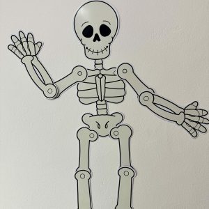 Kit Corpo Humano - Recursos Educacionais