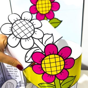 Kit Ciclo da Planta - Ciências