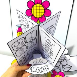 Kit Ciclo da Planta - Ciências