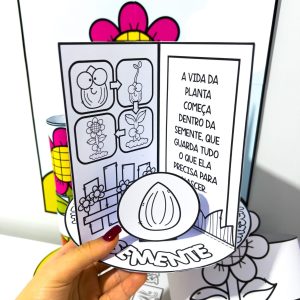 Kit Ciclo da Planta - Ciências