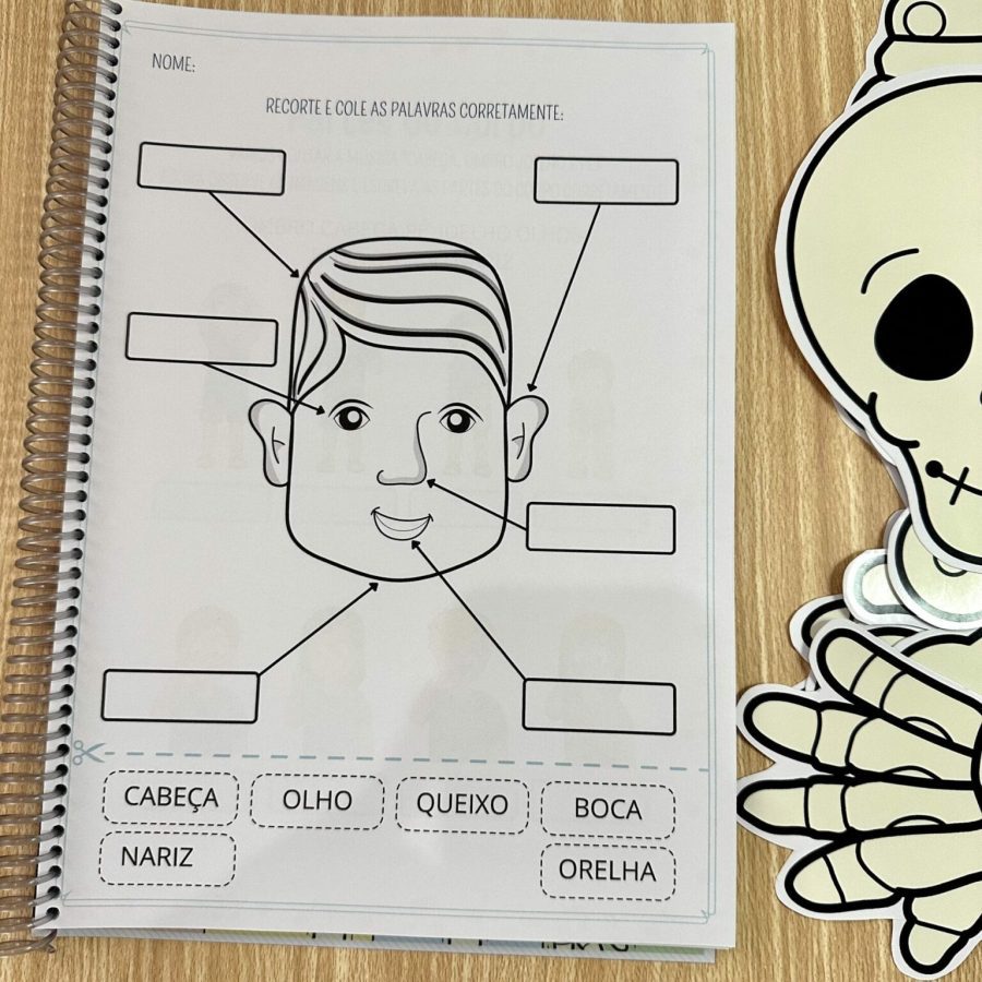 Kit Corpo Humano - Recursos Educacionais - Pedagogia de Ideias Kit Corpo Humano - Recursos Educacionais