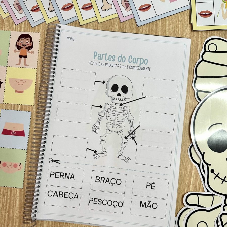 Kit Corpo Humano - Recursos Educacionais - Pedagogia de Ideias Kit Corpo Humano - Recursos Educacionais