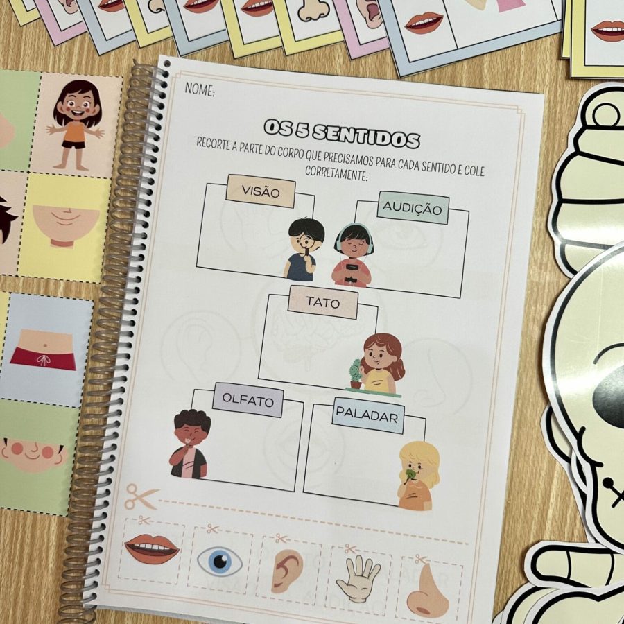 Kit Corpo Humano - Recursos Educacionais - Pedagogia de Ideias Kit Corpo Humano - Recursos Educacionais