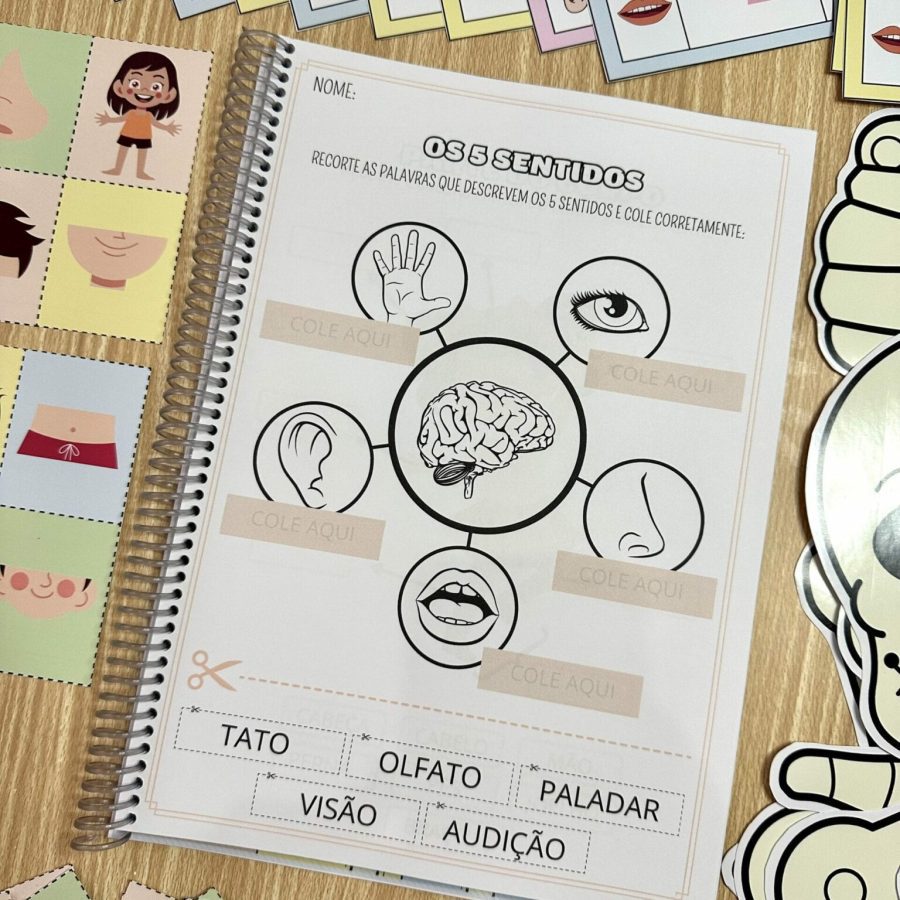 Kit Corpo Humano - Recursos Educacionais - Pedagogia de Ideias Kit Corpo Humano - Recursos Educacionais