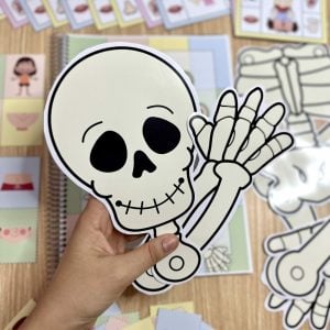 Kit Corpo Humano - Recursos Educacionais