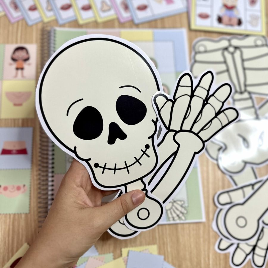 Kit Corpo Humano - Recursos Educacionais - Pedagogia de Ideias Kit Corpo Humano - Recursos Educacionais