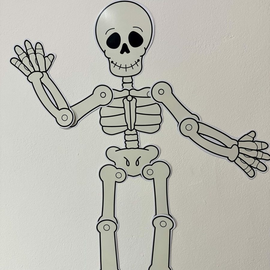 Kit Corpo Humano - Recursos Educacionais - Pedagogia de Ideias Kit Corpo Humano - Recursos Educacionais