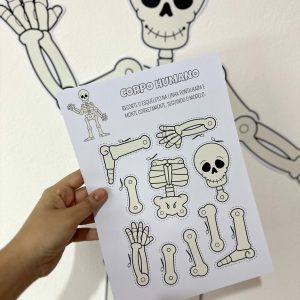 Kit Corpo Humano - Recursos Educacionais - Pedagogia de Ideias Kit Corpo Humano - Recursos Educacionais