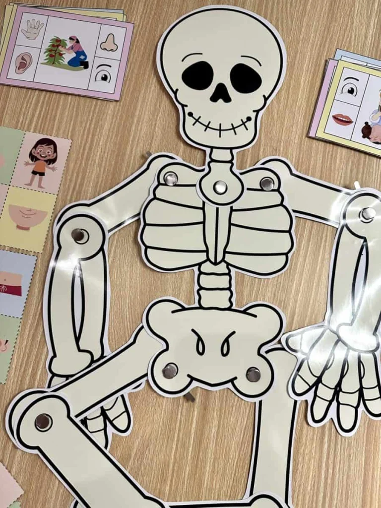 Kit Corpo Humano com Jogo e Apostila — foto 8