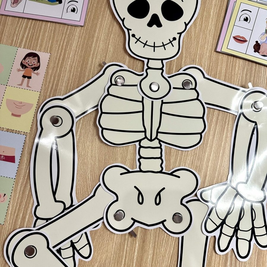 Kit Corpo Humano - Recursos Educacionais - Pedagogia de Ideias Kit Corpo Humano - Recursos Educacionais