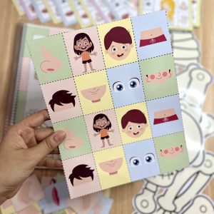 Kit Corpo Humano - Recursos Educacionais - Pedagogia de Ideias Kit Corpo Humano - Recursos Educacionais