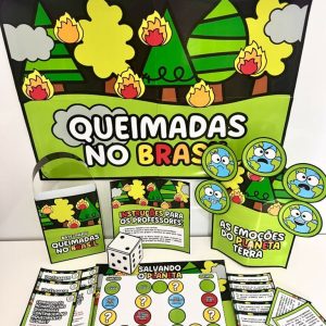 Queimadas no Brasil