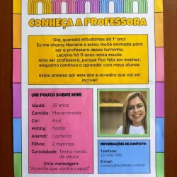 Imagem da professora Mariana com informações sobre ela e contato.