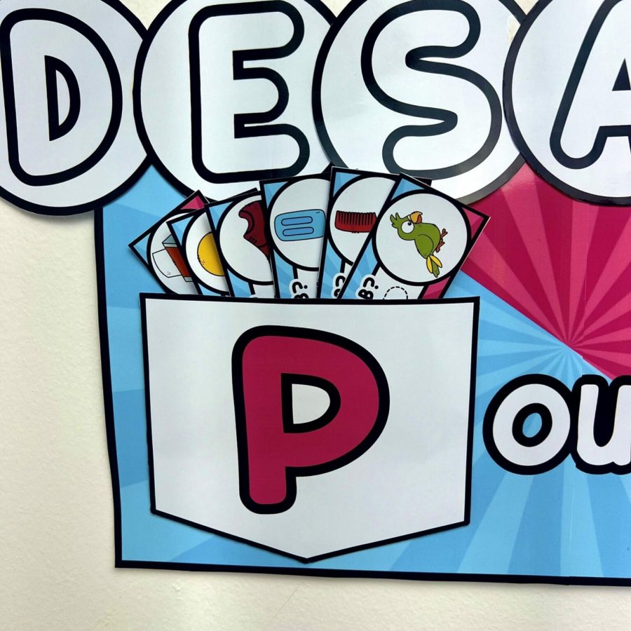 Desafio P e B - Alfabetização - Pedagogia de Ideias Desafio P e B - Alfabetização