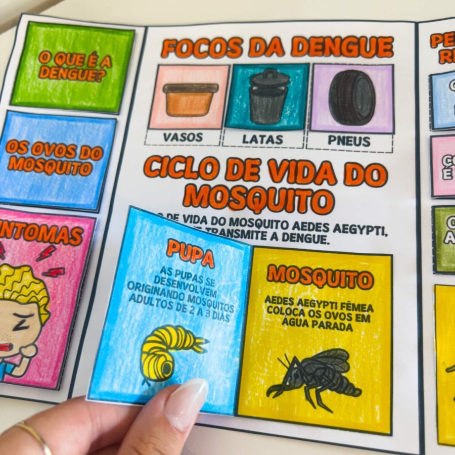 Lapbook - Dengue - Atividades de Sala de Aula - Pedagogia de Ideias Lapbook - Dengue - Atividades de Sala de Aula