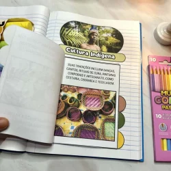 Página de livro com cultura indígena, artesanato e tradições.