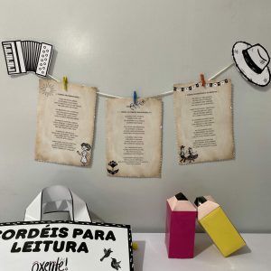 Cordéis Educativos com Plano de Aula - Atividades