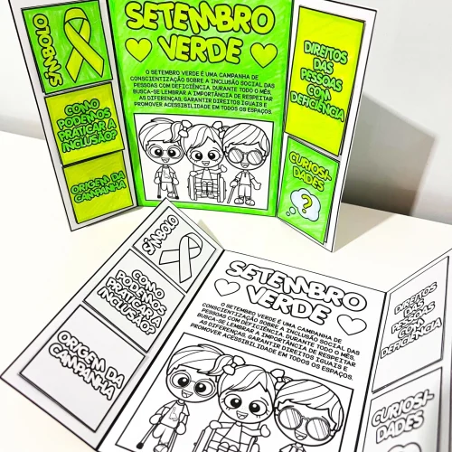 Material educativo sobre Setembro Verde para inclusão social e conscientização.
