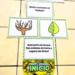 Cartões educativos sobre árvores, folhas e crescimento das plantas.