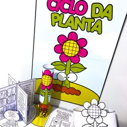Kit Ciclo da Planta - Ciências