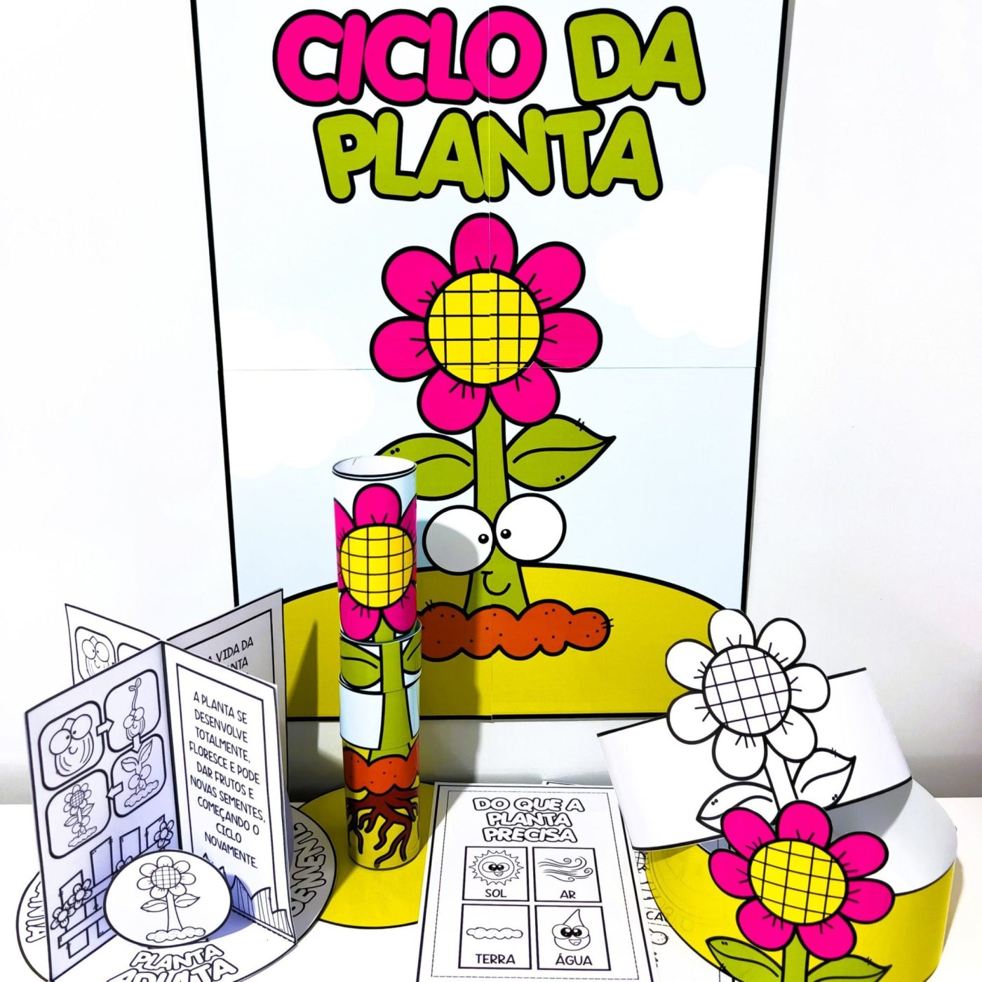 Kit Ciclo da Planta - Ciências