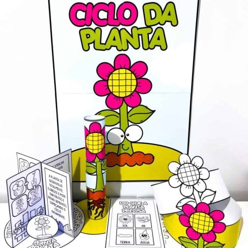 Kit Ciclo da Planta - Ciências