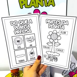 Kit Ciclo da Planta - Ciências - Pedagogia de Ideias Kit Ciclo da Planta - Ciências