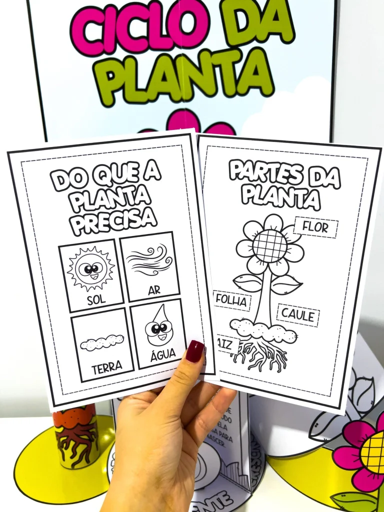 Kit Ciclo da Planta com Atividades — foto 10