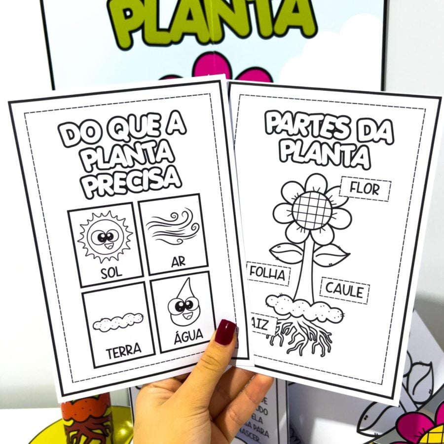 Kit Ciclo da Planta - Ciências - Pedagogia de Ideias Kit Ciclo da Planta - Ciências