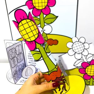 Kit Ciclo da Planta - Ciências - Pedagogia de Ideias Kit Ciclo da Planta - Ciências