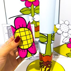 Kit Ciclo da Planta - Ciências - Pedagogia de Ideias Kit Ciclo da Planta - Ciências