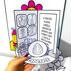 Kit Ciclo da Planta - Ciências