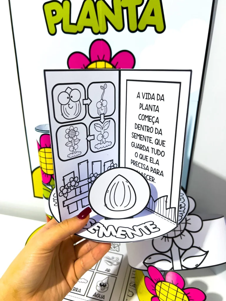 Kit Ciclo da Planta com Atividades — foto 4