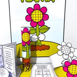 Kit Ciclo da Planta - Ciências