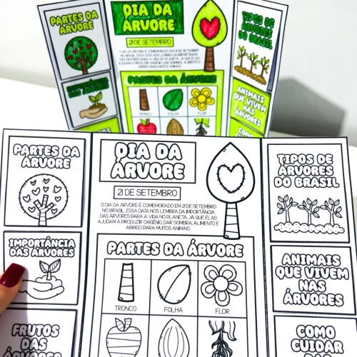 Material educativo sobre partes, tipos e importância das árvores para crianças.