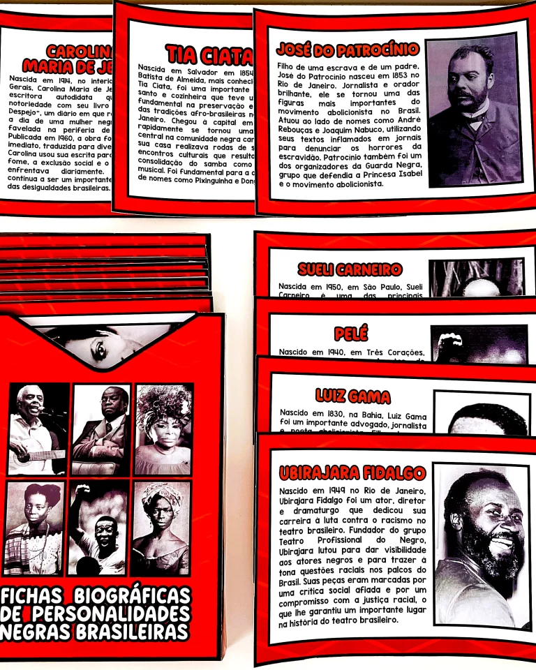 Fichas Biográficas de Personalidades Negras Brasileiras — foto 2