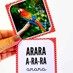 Jogo da memória com imagem de arara colorida e palavras em português.