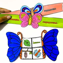 Atividade Primavera - Ciclo da Borboleta - Primavera