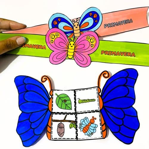Atividade Primavera - Ciclo da Borboleta - Primavera