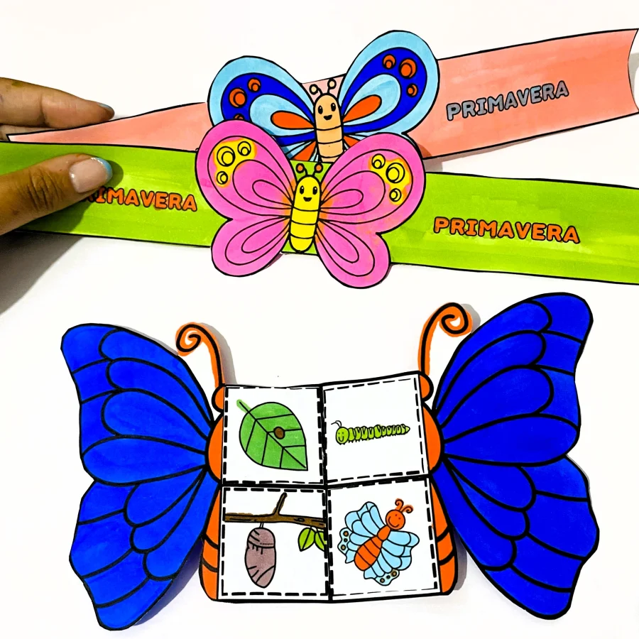 Atividade Primavera - Ciclo da Borboleta - Primavera
