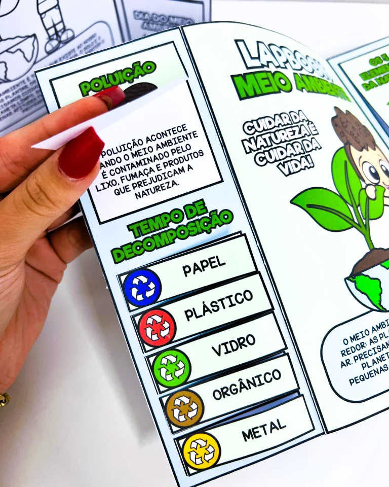 Lapbook Interativo sobre Meio Ambiente — foto 3