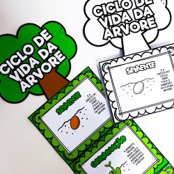 Atividades educativas sobre o ciclo de vida da árvore com desenhos e textos.