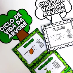 Atividades educativas sobre o ciclo de vida da árvore com desenhos e textos.