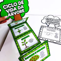 Atividade educativa sobre ciclo de vida da árvore com ilustrações coloridas.
