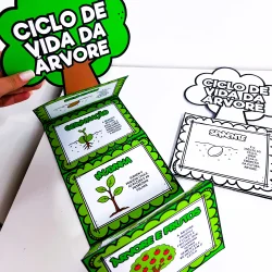 Atividade educativa sobre ciclo de vida da árvore com ilustrações coloridas.