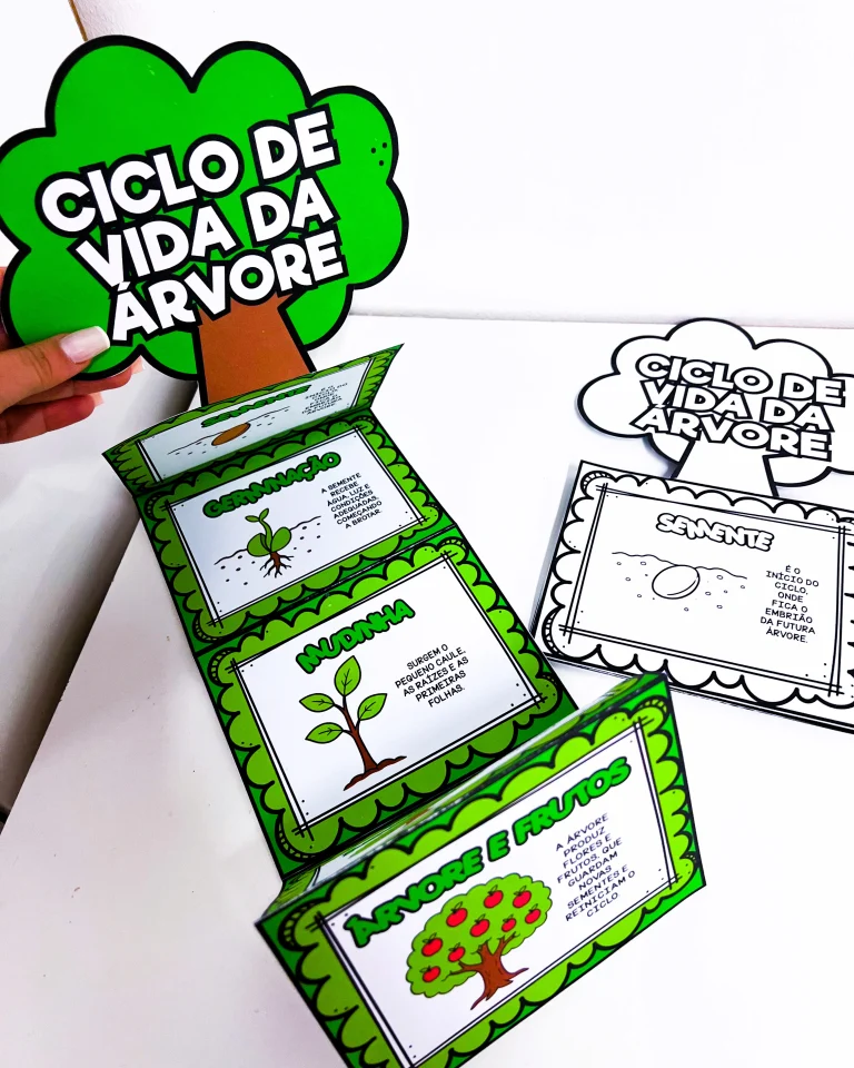 Atividade Ciclo de Vida da Árvore — foto 4