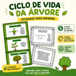 Ilustração do ciclo de vida da árvore com etapas e atividades educativas.