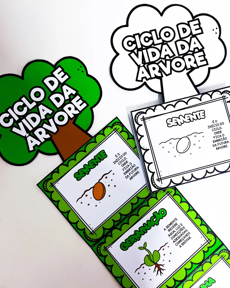 Atividade Ciclo de Vida da Árvore — foto 3