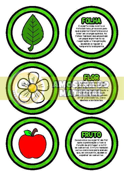 Amostra do PDF - pagina 3
