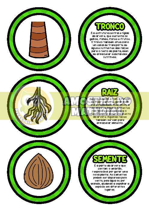Amostra do PDF - pagina 4